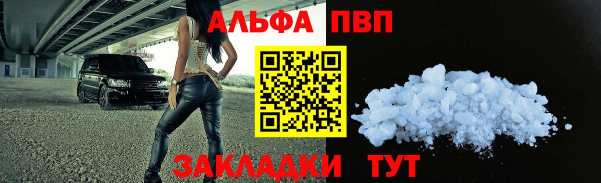 Alfa_PVP СК КРИС Сланцы