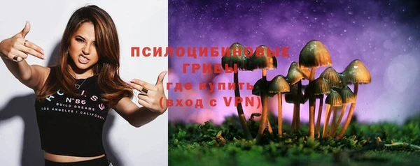 гашиш Гусь-Хрустальный