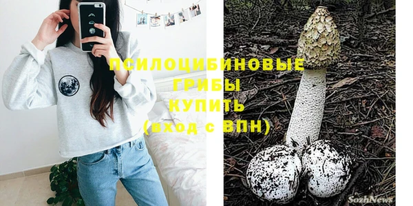 экстази Гусев