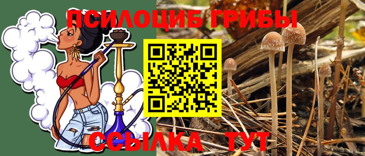Сланцы  Галлюциногенные грибы MAGIC MUSHROOMS  Вход с VPN 