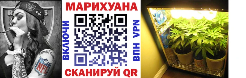 Бошки марихуана OG Kush  Сланцы 
