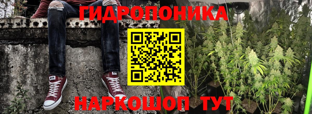 Конопля семена  Каннабис White Widow  МАРИХУАНА OG Kush  Вход с VPN  Сланцы 
